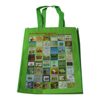 广西LB11覆膜无纺布广告袋