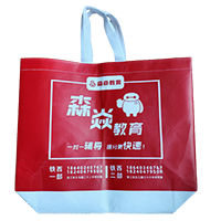 广西LB37培训班广告袋